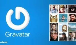 WordPress Gravatar Nasıl Kurulur?