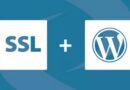 WordPress SSL nasıl kurulur?