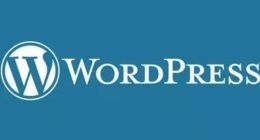 Hızlı WordPress Temaları, en iyi wordpress temaları