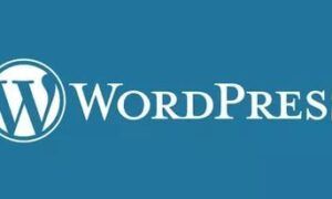 Hızlı WordPress Temaları, en iyi wordpress temaları