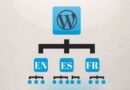 WordPress Web Sitesini Birden Fazla Dile Çevirme