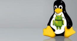 Android’den Linux Sunucusuna Erişim Nasıl Yapılır