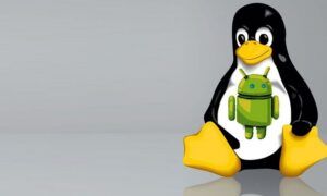 Android’den Linux Sunucusuna Erişim Nasıl Yapılır