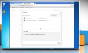 Chrome Tarayıcıda Kayıtlı Şifreleri Silme