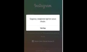 instagram üzgünüz isteğinizle ilgili bir sorun oluştu