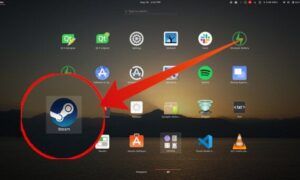 Steam Oyunları Linux Nasıl Yüklenir ve Oynanır