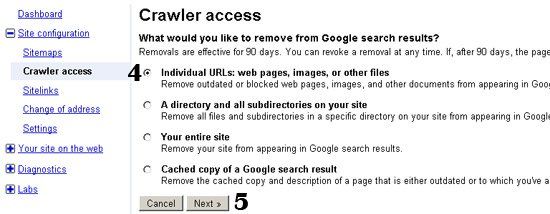 URL'leri Google'ın arama sonuçlarından kaldırma