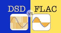 FLAC ve WAV Dosya Formatları arasındaki fark nedir?