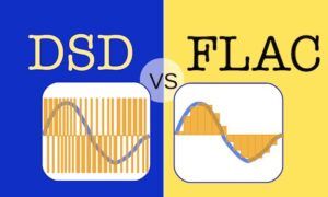 FLAC ve WAV Dosya Formatları arasındaki fark nedir?