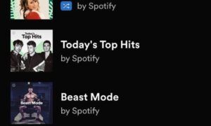 Spotify Çalma listesi gizleme