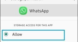 WhatsApp Android Telefona Resim indirmiyor