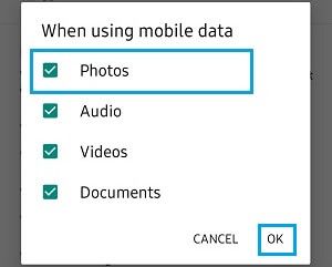 WhatsApp'ın Fotoğrafları İndirmek için Mobil Verileri Kullanmasına İzin Ver