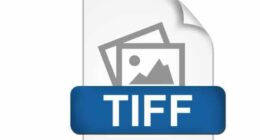 TIF veya TIFF Dosyası Nedir ve Nasıl Açılır?