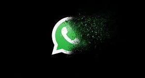 WhatsApp kaybolan mesajlar nasıl etkinleştirilirler?