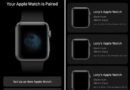 Apple Watch Verilerini Yedekleme ve Geri Yükleme