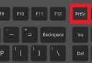 Ekranı Yazdır (PrtScn) Düğmesine Basıldığında Windows 10 Donuyor