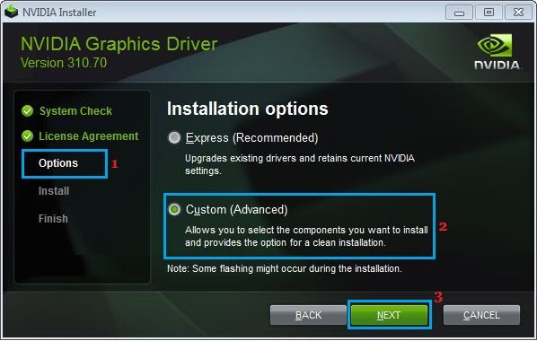 NVIDIA Grafik Sürücüsü Özel Kurulum Seçeneği