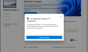 Bu Bilgisayar Windows 11’i Çalıştıramaz Hatası