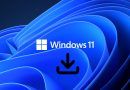 Windows 11 ISO Nasıl İndirilir