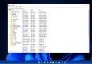 Windows 11 kayıt defterini yedekleme ve geri yükleme